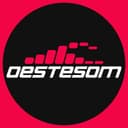 Logo OESTESOM