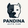Cupons Pandina Auto Car (1567915284)